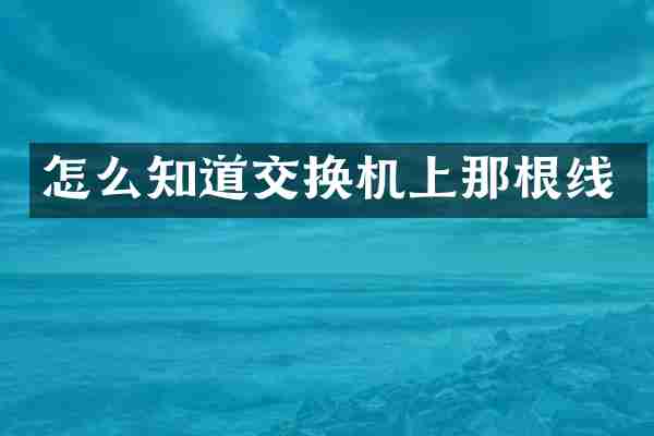 怎么知道交换机上那根线