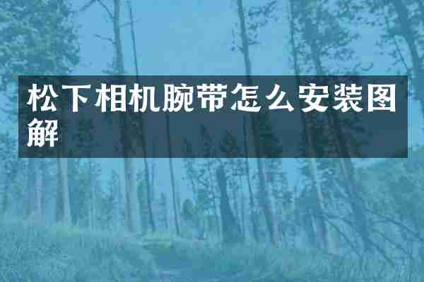 松下相机腕带怎么安装图解