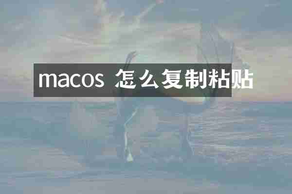macos 怎么复制粘贴