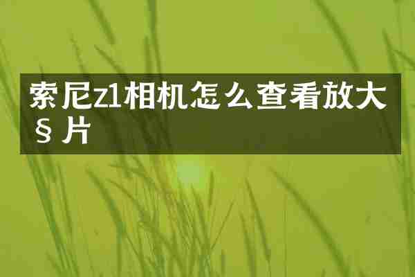 索尼z1相机怎么查看放大照片