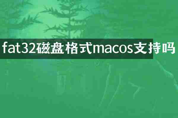 fat32磁盘格式macos支持吗