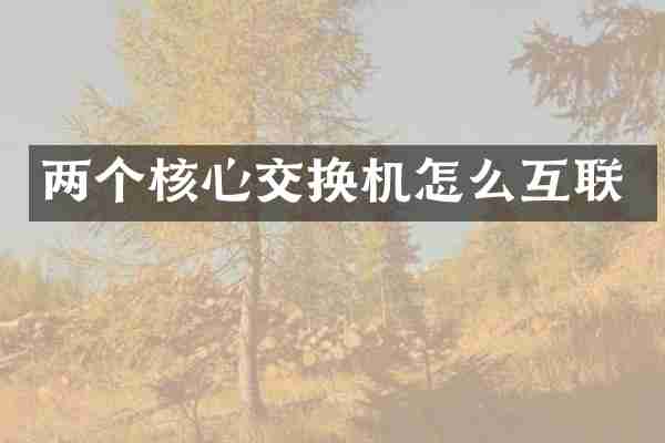 两个核心交换机怎么互联