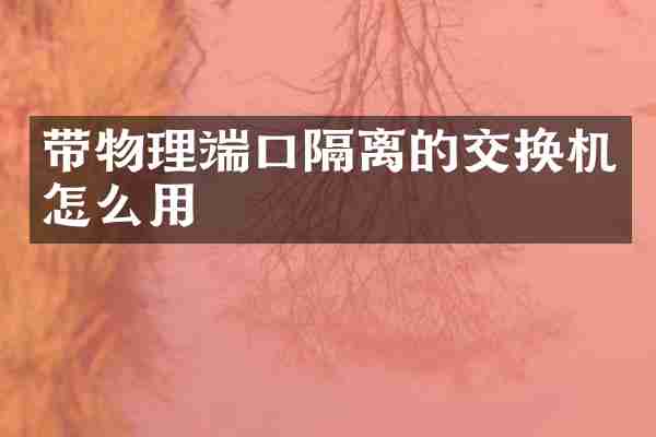 带物理端口隔离的交换机怎么用