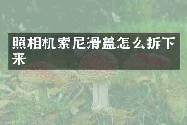 照相机索尼滑盖怎么拆下来