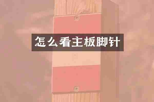 怎么看主板脚针