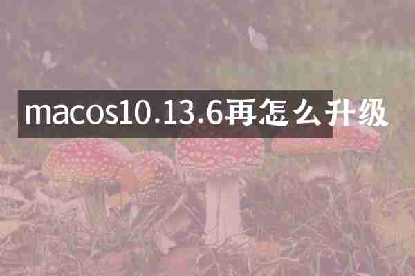 macos10.13.6再怎么升级