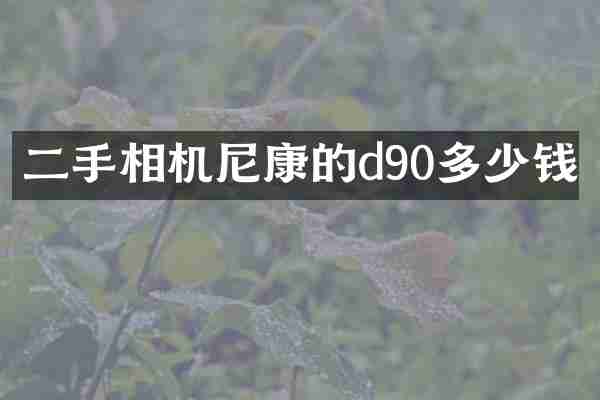 二手相机尼康的d90多少钱