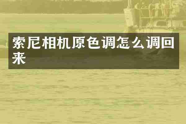 索尼相机原色调怎么调回来