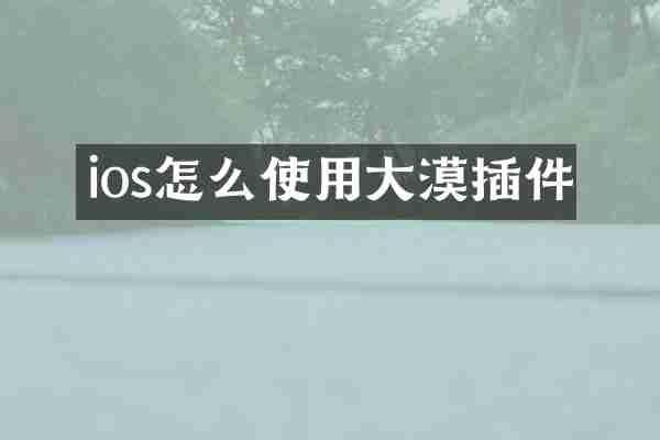 ios怎么使用大漠插件