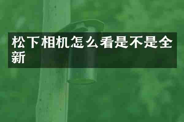 松下相机怎么看是不是全新