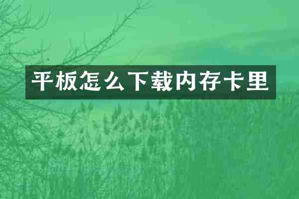 平板怎么下载内存卡里