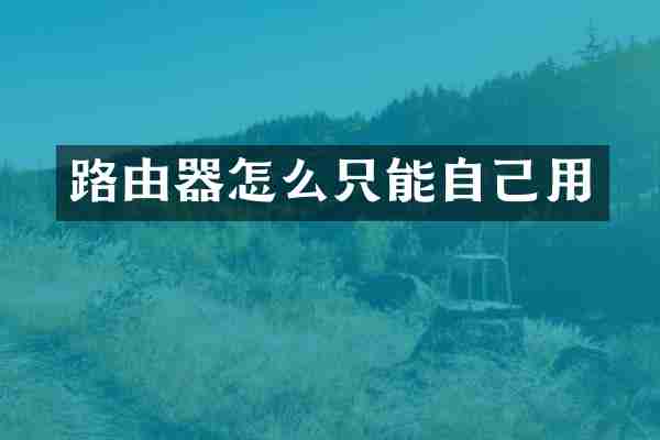 路由器怎么只能自己用