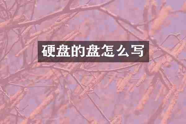硬盘的盘怎么写