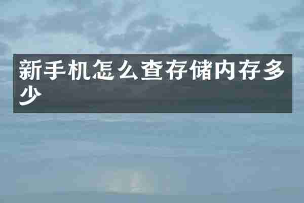 新手机怎么查存储内存多少