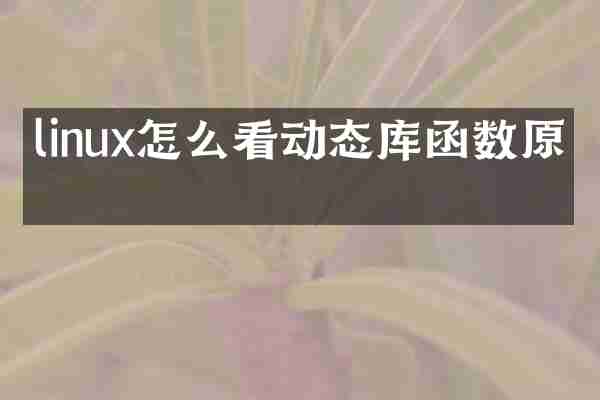 linux怎么看动态库函数原型