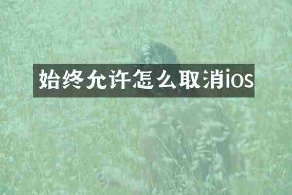 始终允许怎么取消ios