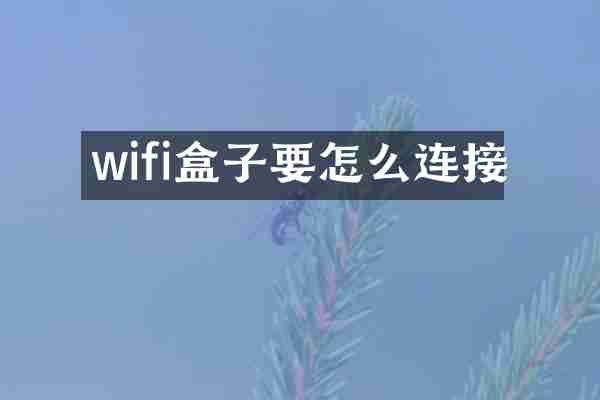wifi盒子要怎么连接