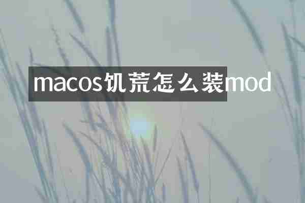macos饥荒怎么装mod