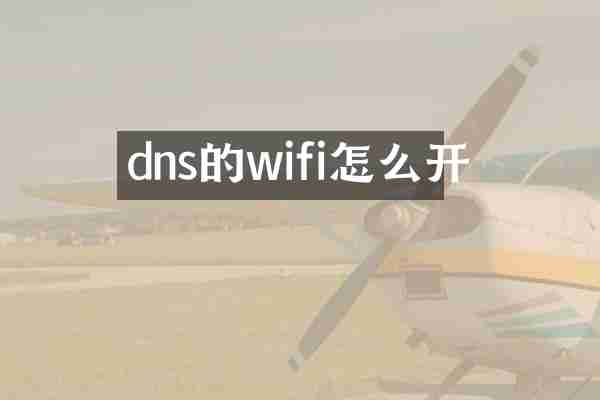 dns的wifi怎么开