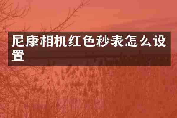 尼康相机红色秒表怎么设置