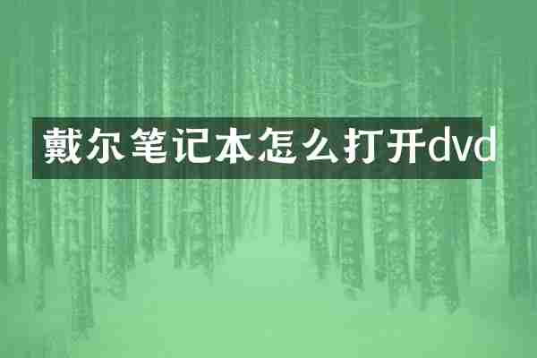 戴尔笔记本怎么打开dvd