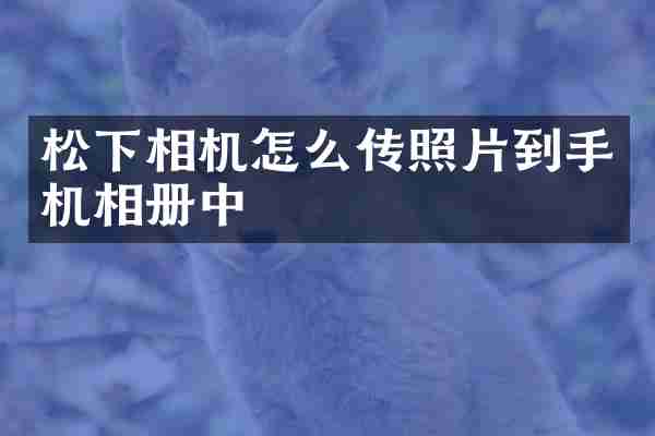 松下相机怎么传照片到手机相册中