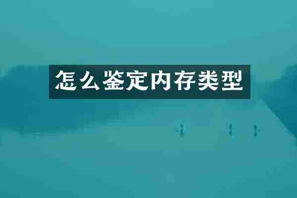 怎么鉴定内存类型