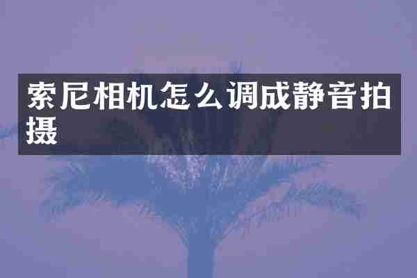 相机怎么调成静音拍摄
