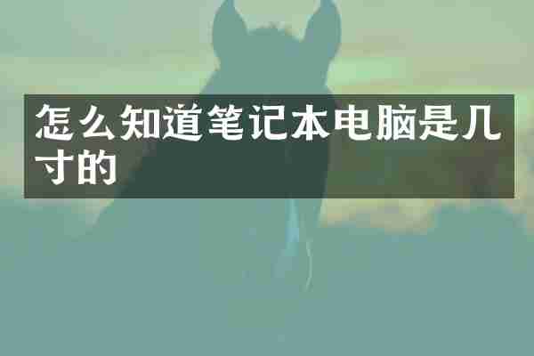 怎么知道笔记本电脑是几寸的