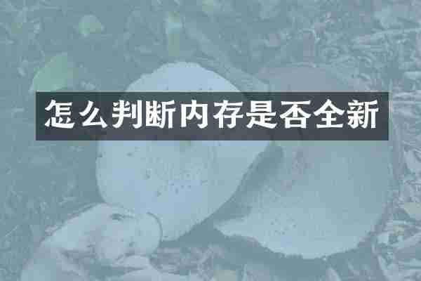 怎么判断内存是否全新