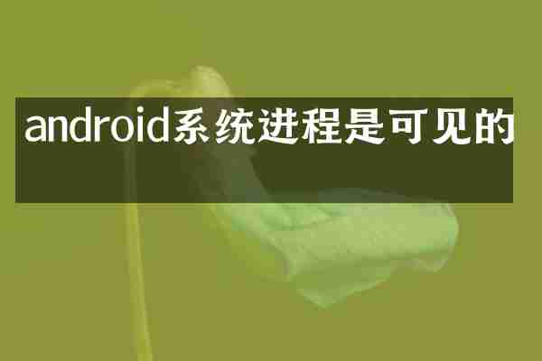 android系统进程是可见的吗