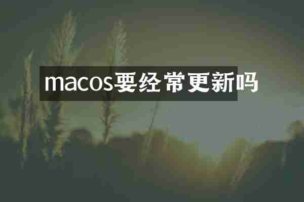 macos要经常更新吗