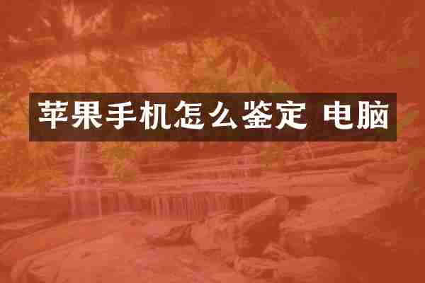 苹果手机怎么鉴定 电脑