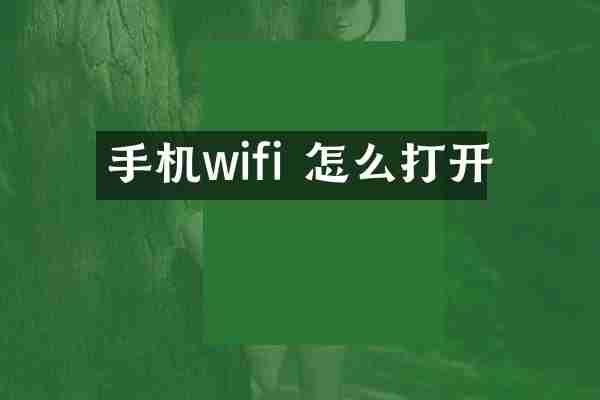 手机wifi 怎么打开