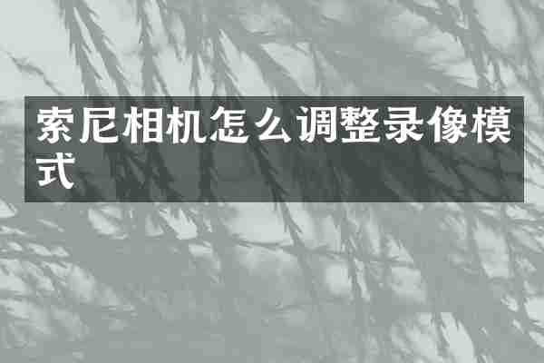 相机怎么调整录像模式