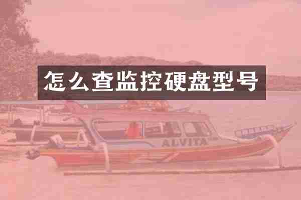 怎么查监控硬盘型号