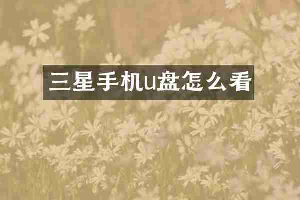 三星手机u盘怎么看