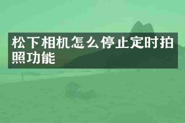 相机怎么停止定时拍照功能