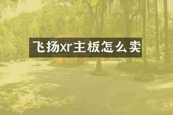 飞扬xr主板怎么卖
