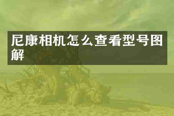 尼康相机怎么查看型号图解