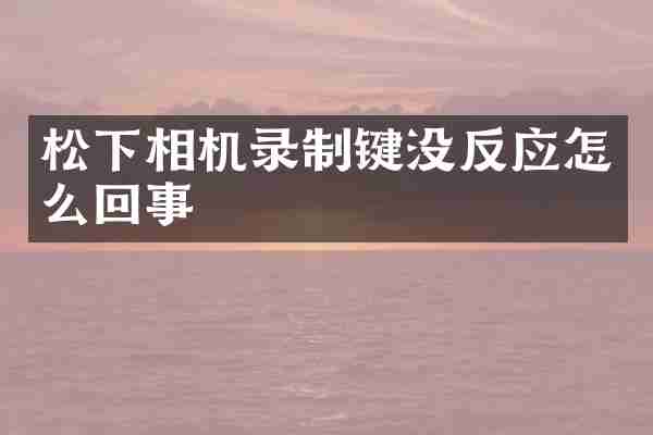 松下相机录制键没反应怎么回事