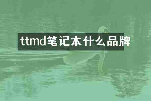 ttmd笔记本什么品牌