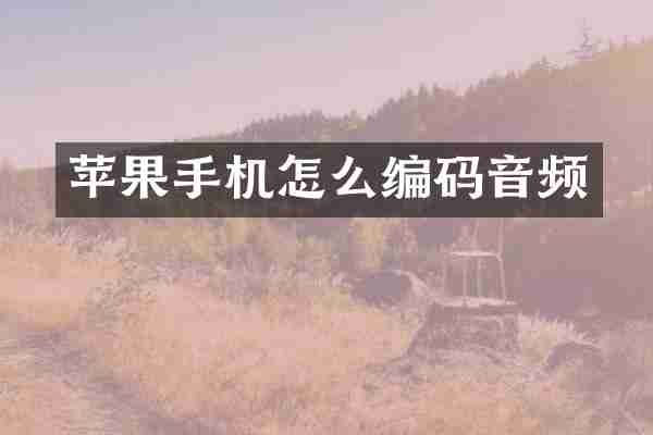 苹果手机怎么编码音频