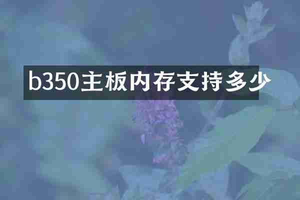 b350主板内存支持多少