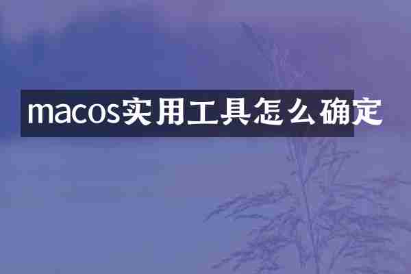 macos实用工具怎么确定