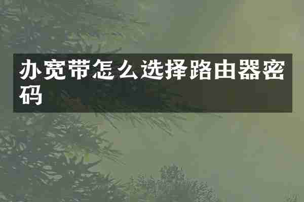办宽带怎么选择路由器密码