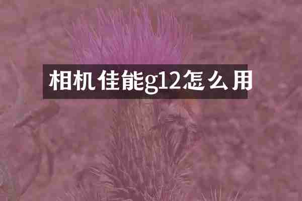 相机佳能g12怎么用