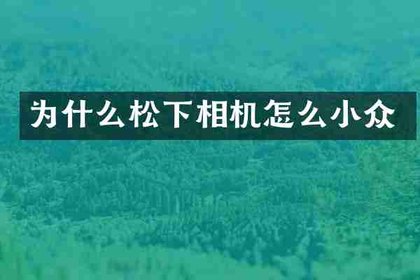 为什么相机怎么小众