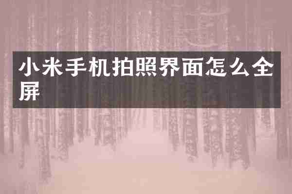 小米手机拍照界面怎么全屏