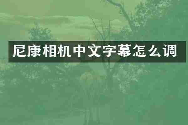 尼康相机中文字幕怎么调